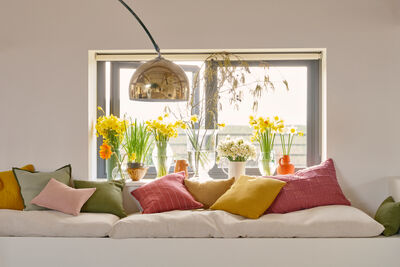 Shop cushions