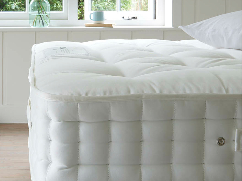 dog mattress pad