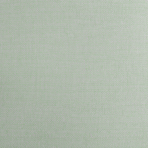 Soft Green Clever Softie