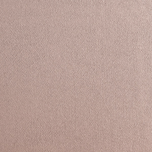 Dried Plaster Clever Velvet