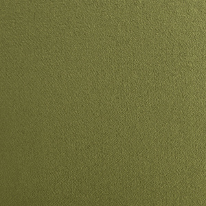 1118629 plush velvet olive