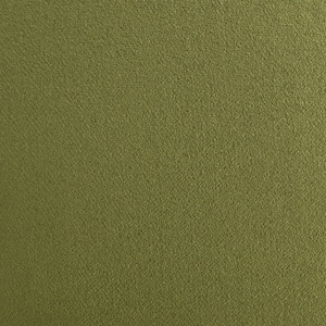 159341 plush velvet olive